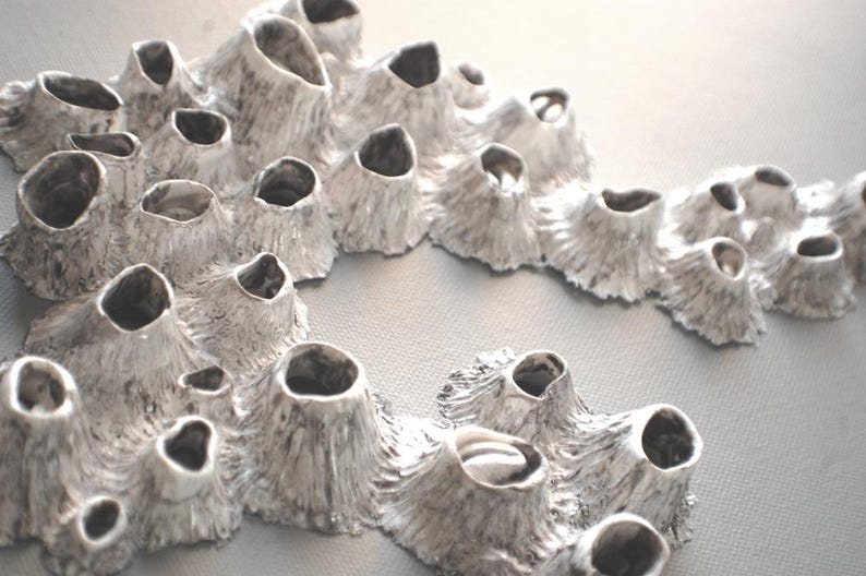 Puede incluir: Primer plano de una escultura de cer&aacute;mica blanca texturizada que se asemeja a un grupo de corales o percebes.