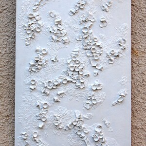 Lichen Art 3 Dimensional Wall Art White on White Textured Art on Wood Panel Decor for Home Inspired by Nature image 6