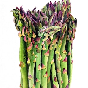 Asparagus Oil Painting 3D Paper Mixed Media Green Vegetable Food Art Kitchen Wall Decor image 1