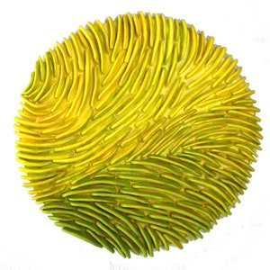 Sea Textures Round Wall Panel Coral Reef Lime Green & Yellow Clay Wall ...