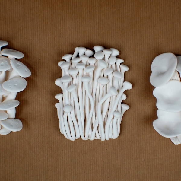 Mushroom Sculptures - Fungi Art, Clay Mushroom, Mushroom Decor, Enoki Mushroom, Shitake Mushroom, Oyster Mushroom, Nature Wall Art