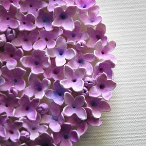 May include: A close-up of a cluster of purple flowers, each with five petals and a small, dark center. The flowers are arranged in a circular pattern, creating a textured and delicate design.