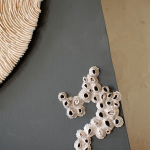 Puede incluir: Una escultura blanca de forma org&aacute;nica con una superficie texturizada, que se asemeja a un coral, est&aacute; montada en una pared gris oscuro.