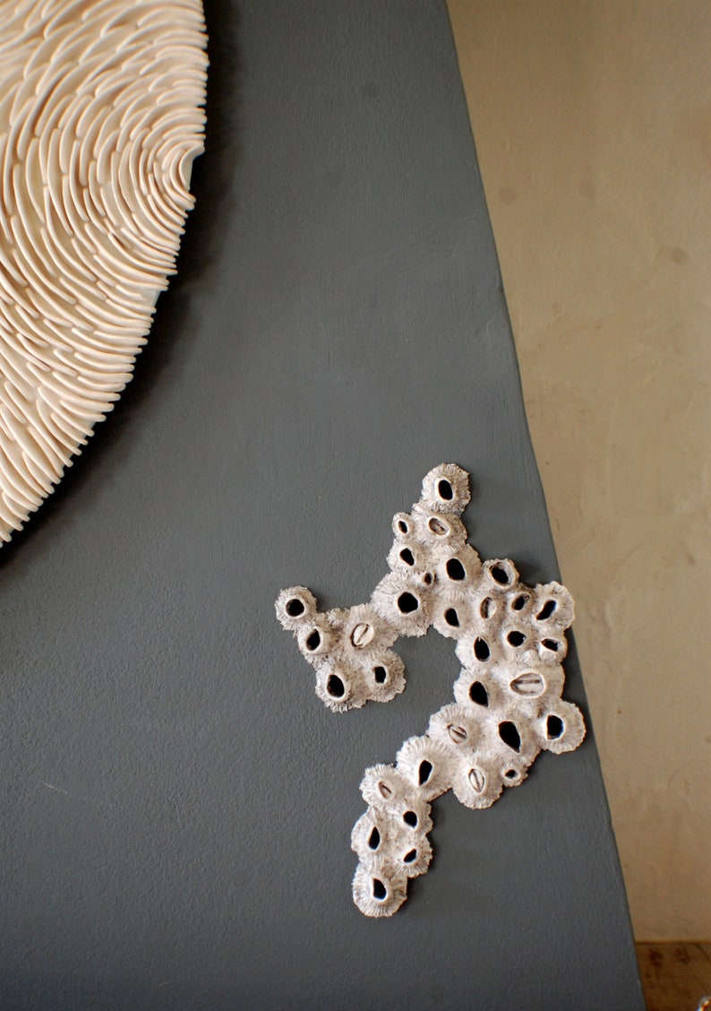 Puede incluir: Una escultura blanca de forma org&aacute;nica con una superficie texturizada, que se asemeja a un coral, est&aacute; montada en una pared gris oscuro.