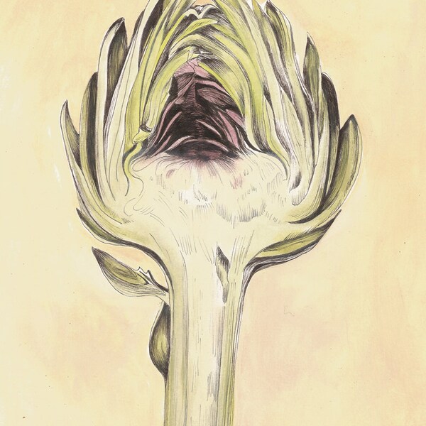 French Artichoke II Botanical Print - SLIGHT SECOND Reduced Price - Vintage Look Kitchen Art 8x10
