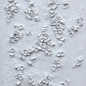 Lichen Art 3 Dimensional Wall Art White on White Textured Art on Wood Panel Decor for Home Inspired by Nature image 3