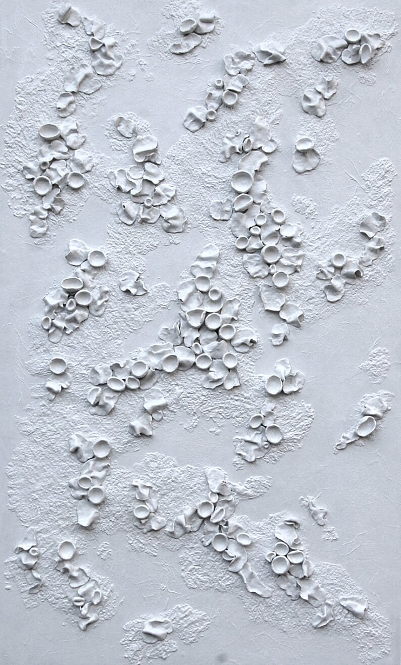 Lichen Art 3 Dimensional Wall Art White on White Textured Art on Wood Panel Decor for Home Inspired by Nature image 3