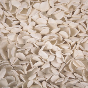 May include: A close-up of a white, textured fabric with a pattern of small, overlapping, petal-like shapes.