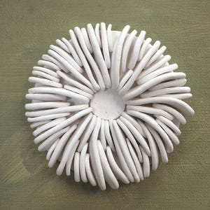 Scultura murale costiera - Arte tridimensionale con texture oceanica e barriera corallina immagine 10