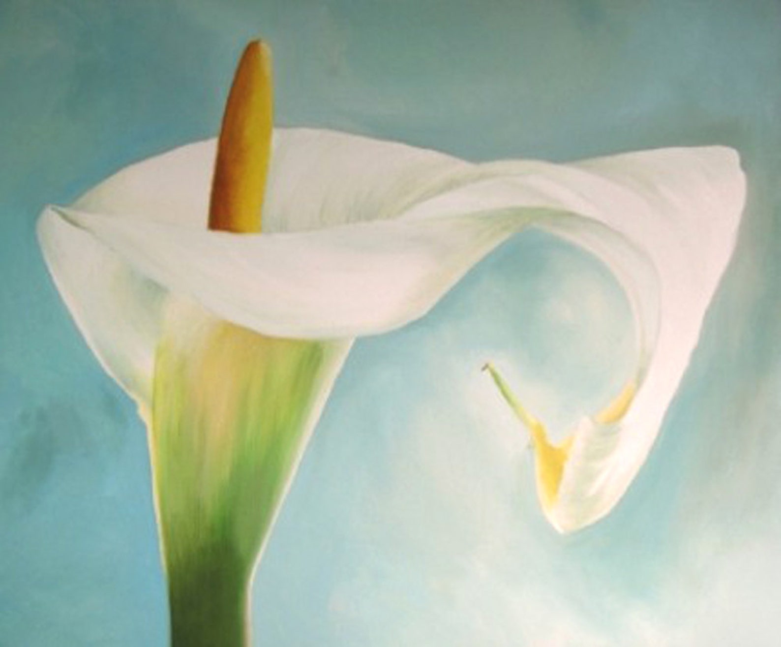 Calla Lily Painting Flower Canvas Painting Original Acrylic - Etsy
