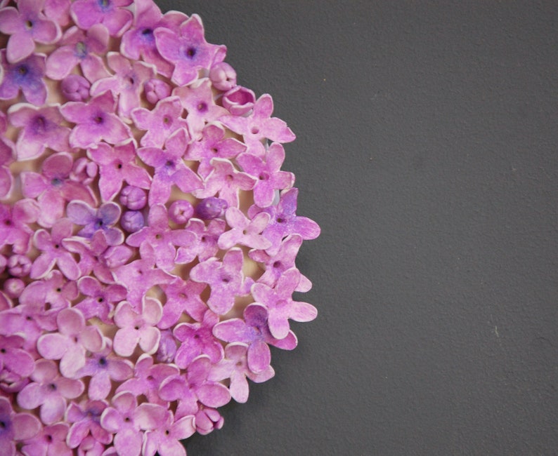 May include: A close-up of a cluster of small, delicate, purple flowers. The flowers are arranged in a circular pattern, creating a beautiful and intricate design.