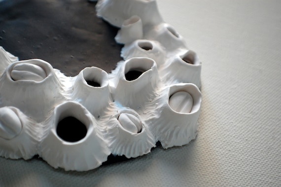 Create Stunning Paper Clay Barnacles for Your Home Decor