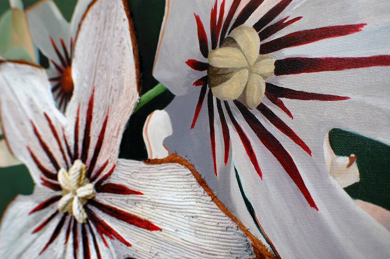 Kola Nut Flower Painting  Eco Environmental Art Endangered image 1