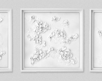 White on White Wall Art - 3D Wall Art, Gallery Wall Set, Lichen Art, Textured Art, Modern 3D Art, Nature Inspired Wall Art, Framed Wall Art