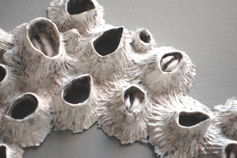 Puede incluir: Una escultura de cer&aacute;mica blanca con una superficie texturizada y m&uacute;ltiples aberturas circulares. La escultura se asemeja a un grupo de vainas o flores.