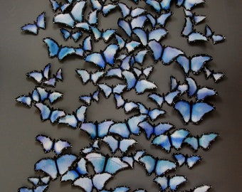 Butterflies Wall Art - Paper Butterflies, Installation Art, Blue Butterflies, Stick on Butterflies, Wall Installation, Wall Art Butterflies