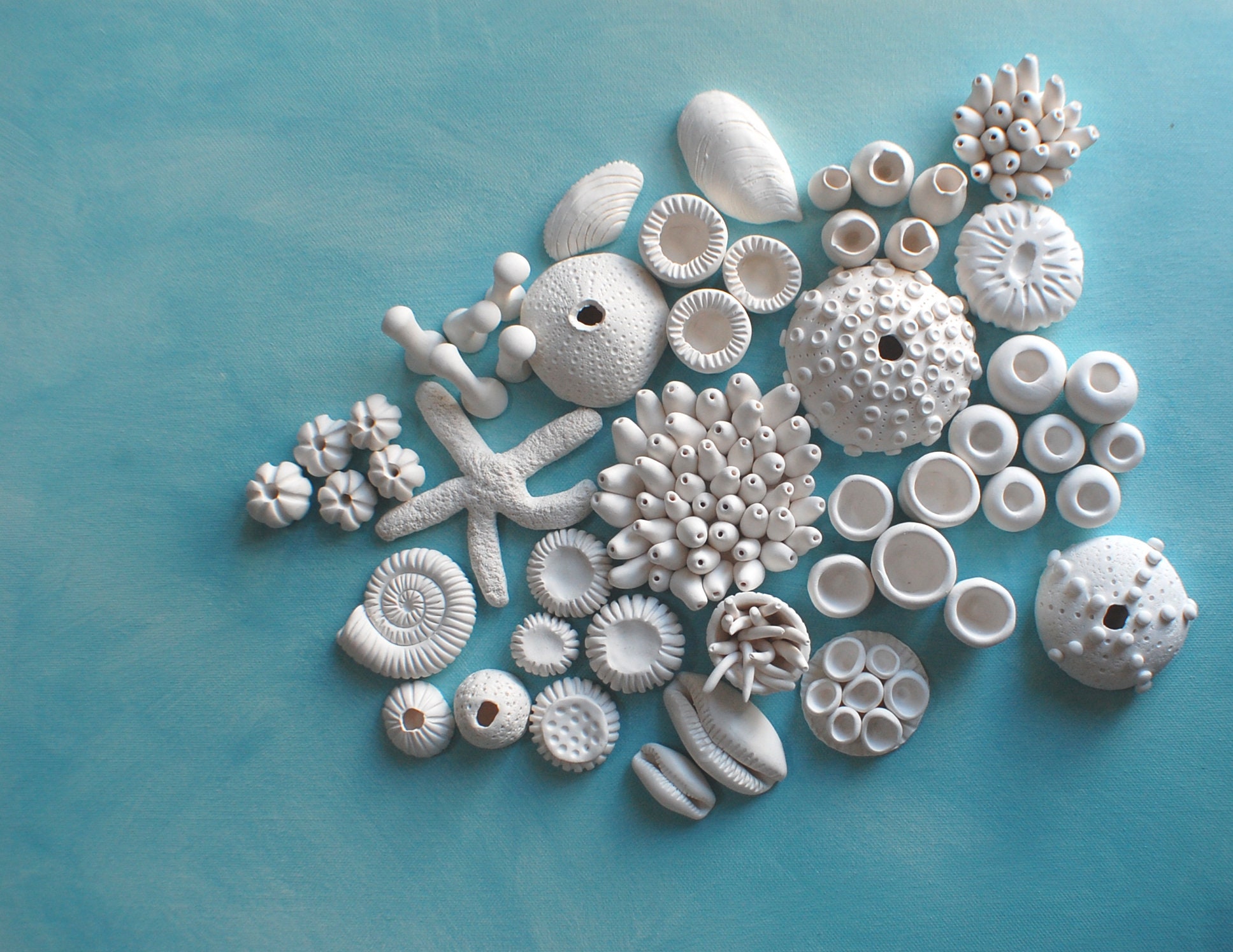 3D Coral Wall Sculpture Installation Nautical Wall Art | Etsy