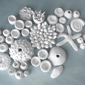 Create your Own 3D Coral Wall Installation - Coral Reef Wall Sculpture Nautical Ocean Wall Art
