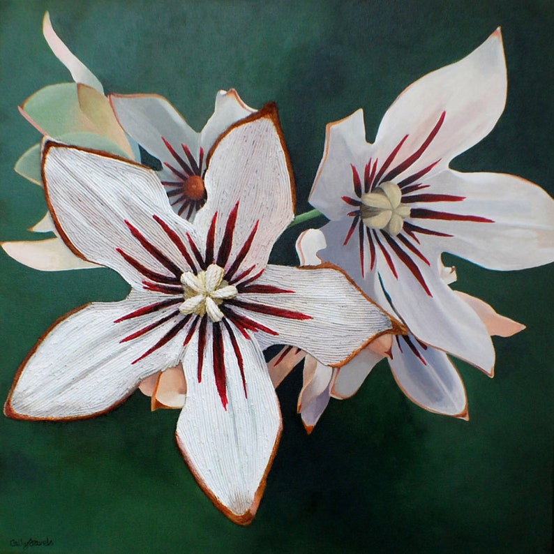 Kola Nut Flower Painting  Eco Environmental Art Endangered image 0