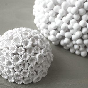 Ocean Beach Coral Reef Sea Wall Art Decor Sculpture - Eco Art Gift for Nature Lover