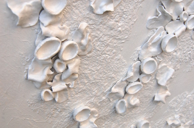 Lichen Art 3 Dimensional Wall Art White on White Textured Art on Wood Panel Decor for Home Inspired by Nature image 5
