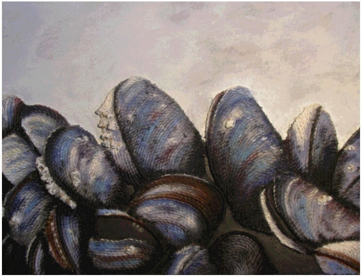 Shell Wall Art - Textural Peinture Moules String Seashell Nautical Beach Decor Mixed Media Abstract