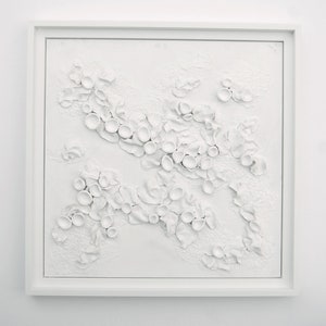 Lichen Art 3 Dimensional Wall Art White on White Textured Art on Wood Panel Decor for Home Inspired by Nature image 10