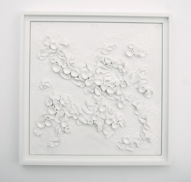 Lichen Art 3 Dimensional Wall Art White on White Textured Art on Wood Panel Decor for Home Inspired by Nature image 10
