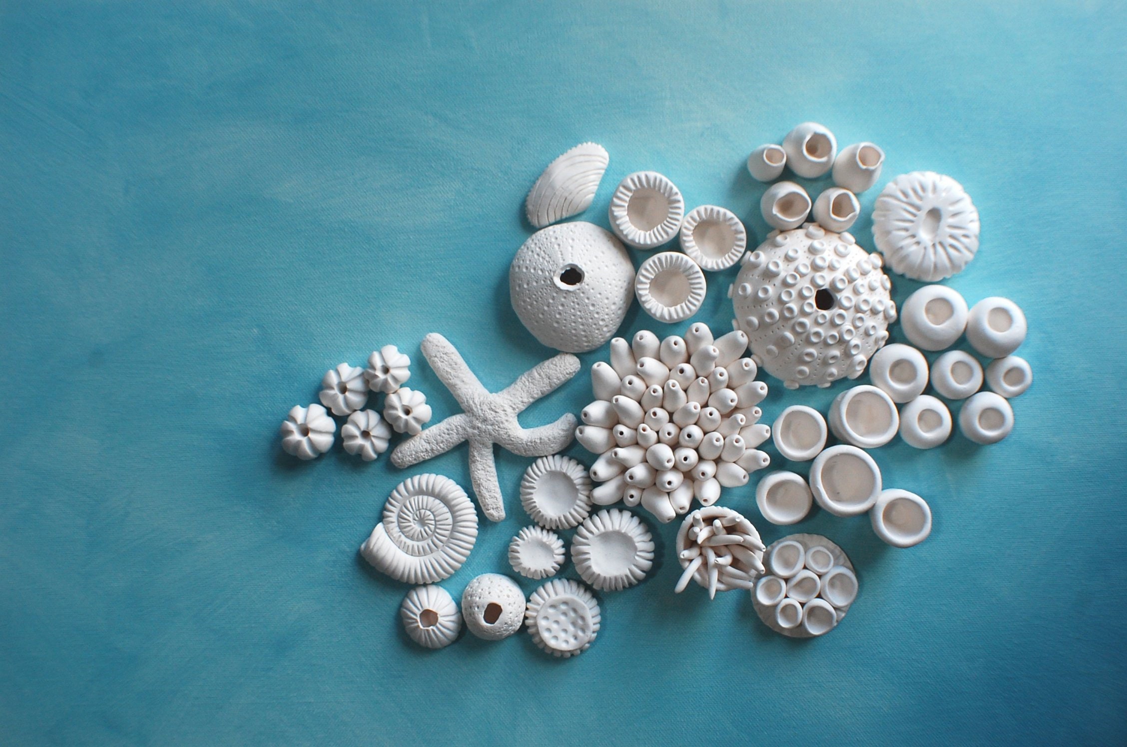 Clay coral store sculpture