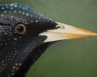European Starling Bird Painting Gift - Bird Original Acrylic Painting Garden Bird Wall Art