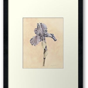 Iris Botanical Print Purple Iris Flower Illustration Art Vintage Look 8x10 image 2