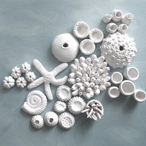 Coral Reef Wall Sculpture - Create your Own 3D Coral Wall Installation Nautical Ocean Wall Art