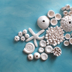 Coral Reef Wall Sculpture Create your Own DIY 3D Coral Wall Installation Nautical Ocean Wall Art image 3