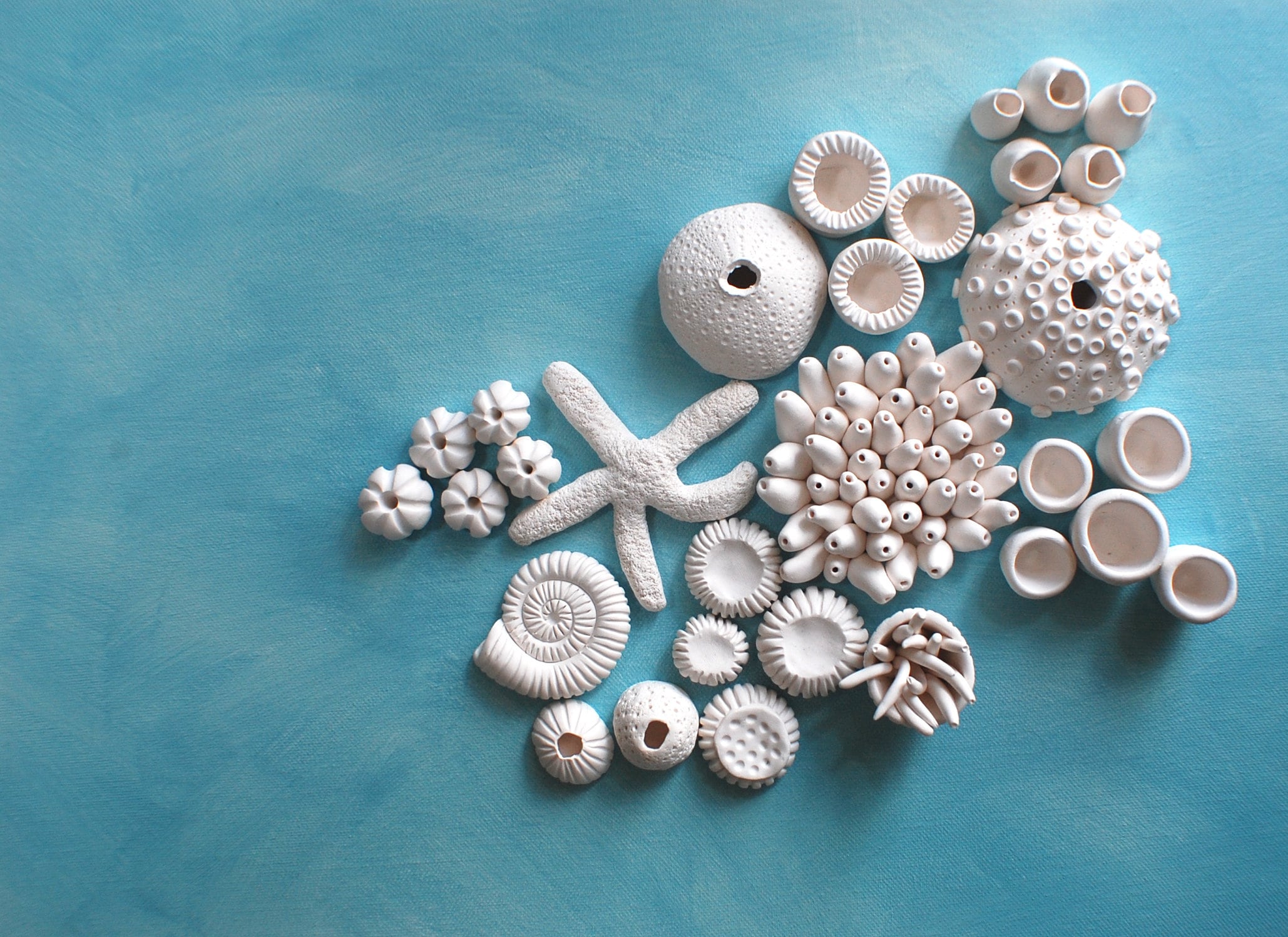 Coral Reef Wall Sculpture Create Your Own DIY 3D Coral Wall Etsy UK
