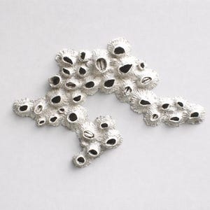 Escultura de pared de arcilla de percebes: decoración costera para casa de playa imagen 2