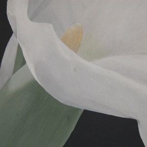 Arum Lily Painting White Flower Art, Calla Lily Art, White Lily Wall Art, Décor floral, Botanical Wall Art, Peinture acrylique, Arum Lily image 3