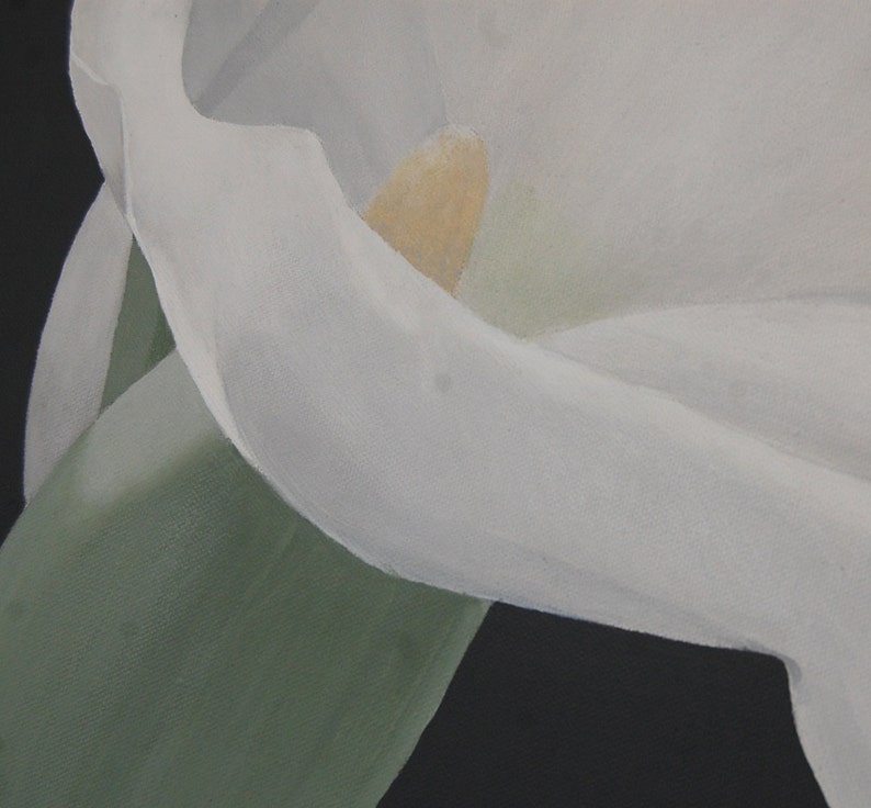 Arum Lily Painting White Flower Art, Calla Lily Art, White Lily Wall Art, Décor floral, Botanical Wall Art, Peinture acrylique, Arum Lily image 3