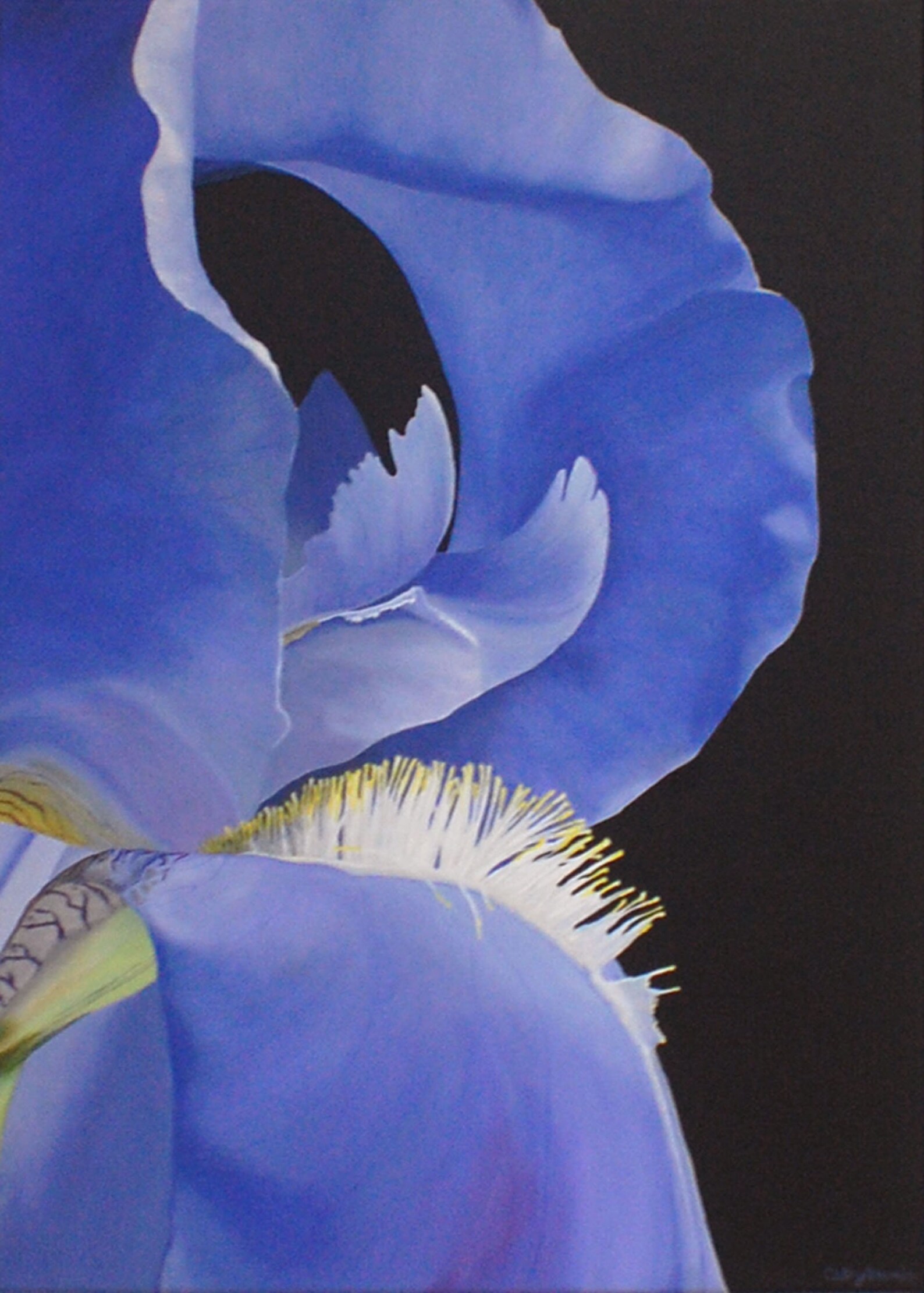 Iris Painting Blue Flower Painting Blue Wall Art Floral Etsy