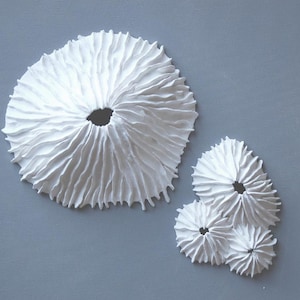 Peut inclure: Plusieurs éléments décoratifs muraux blancs, texturés, ressemblant à des coraux ou des anémones de mer. Le plus grand est circulaire avec un trou central, les autres sont regroupés. Fond gris.