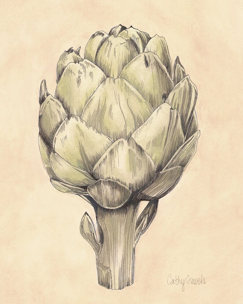 French Artichoke Botanical Print Vintage Look 8x10 Artichoke Etsy