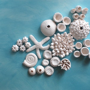 Coral Reef Wall Sculpture Create your Own DIY 3D Coral Wall Installation Nautical Ocean Wall Art image 4