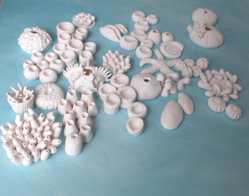 3D-koraalmuurinstallatie Creëer uw eigen koraalrifmuursculptuur Nautische oceaanmuurkunst afbeelding 10