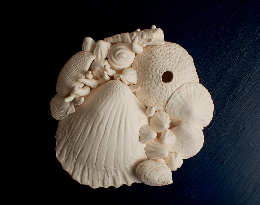 Shell Wall Art Shells Wall Decor, Bathroom Decor, Home Gifts, Shell