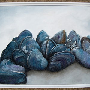 Mussels Seashell Wall Art Nautical Coastal Ocean Beach House Decor in Gray Blue image 3