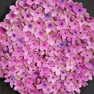 May include: A close-up of a circular arrangement of small, pink flowers. The flowers are densely packed together, creating a textured and colorful surface.