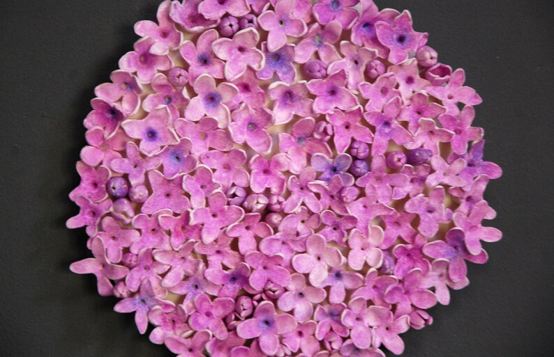 May include: A close-up of a circular arrangement of small, pink flowers. The flowers are densely packed together, creating a textured and colorful surface.