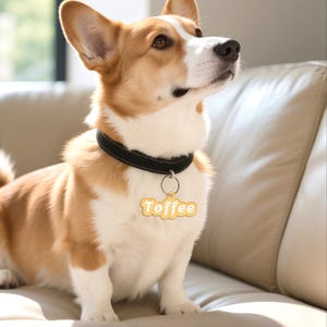 Custom Pet Name Tag, Personalized Acrylic Pet ID Tag, Pet Signature Tag, Dog Cat Tag, Pet Collar Tag, Unique Name Tag, Gift for Pet Lovers