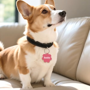 Custom Acrylic Pet ID Tag, Personalized Dog Name Tag, Pet Collar Tag, Acrylic Pet Name Tag, Cute Pet ID Tag, Cat ID Tag, Gift for Pet Lover