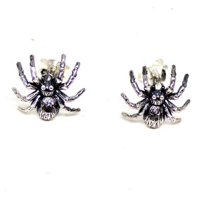May include: A pair of silver spider earrings. The spiders are detailed and have eight legs.