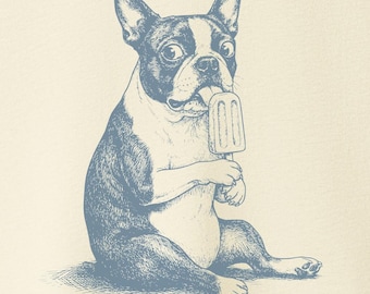 Boston Terrier Popsicle Shirt - Summer TShirt Sweatshirt Hoodie Taco Dog